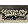 Fotografie hokejové národní mužstvo ČSSR, Pressfoto (1)