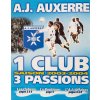 Program AJ Auxerre, saison 20022003