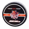 Puk Cardif Devils Hockey (1)