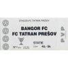 Vstupenka fotbal, Bangor FC v. FC Tatran Prešov, 1994 (2)