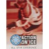 Program, Action on Ice, All stars experience