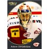 Hokejová kartička, Adam Svoboda, HC Slavia Praha, 20072008 (1)