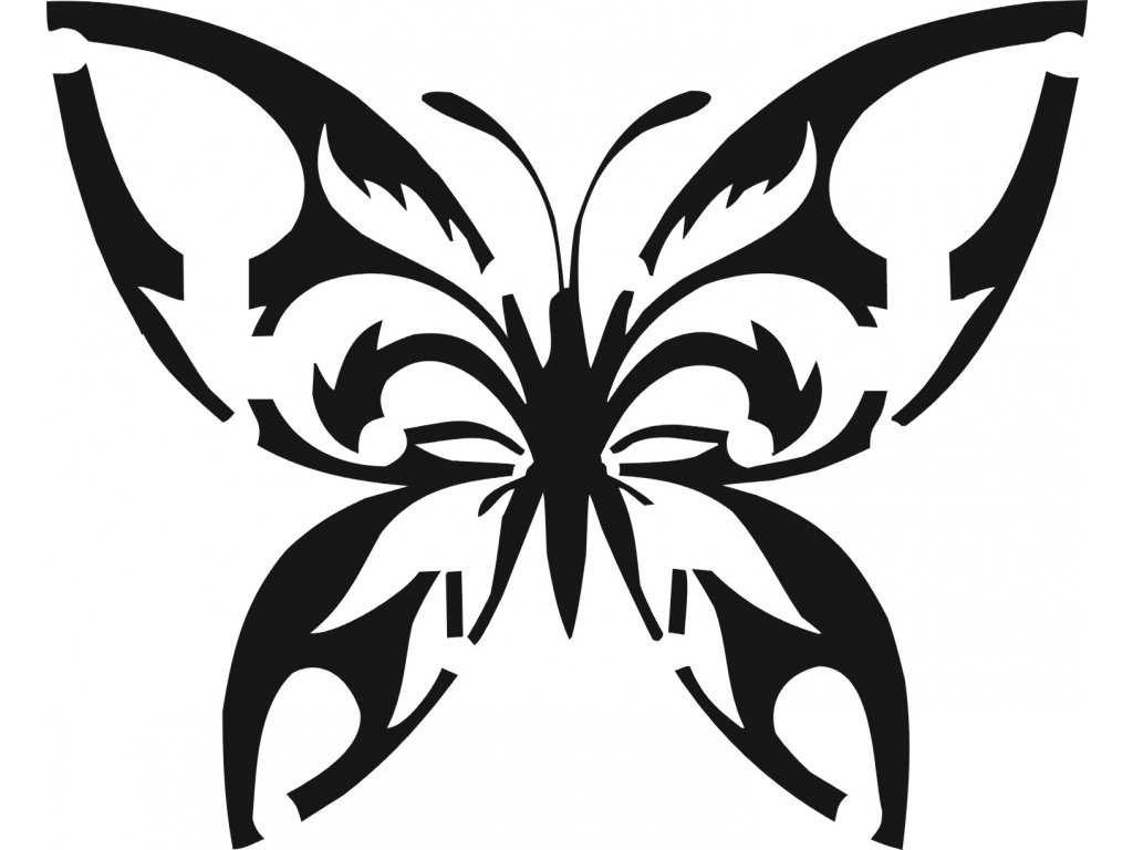 BD011 motýl