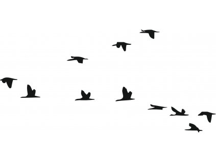 Lietajúce vtáky plastová šablóna