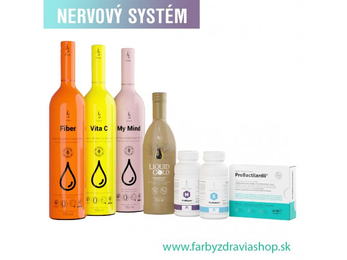 nervovy system