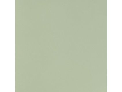zelena avokado 5452