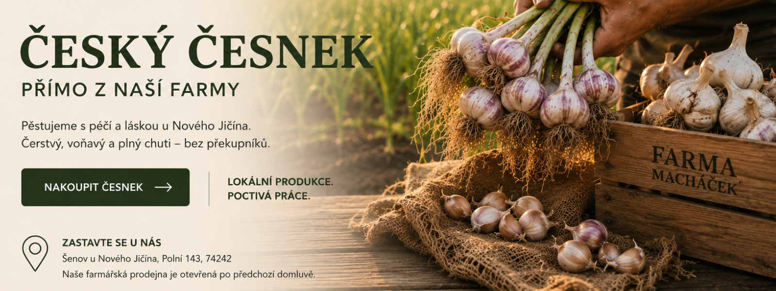 ČESKÝ ČESNEK