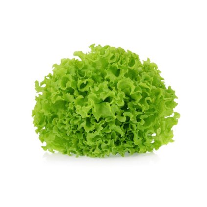 salat lollo biondo