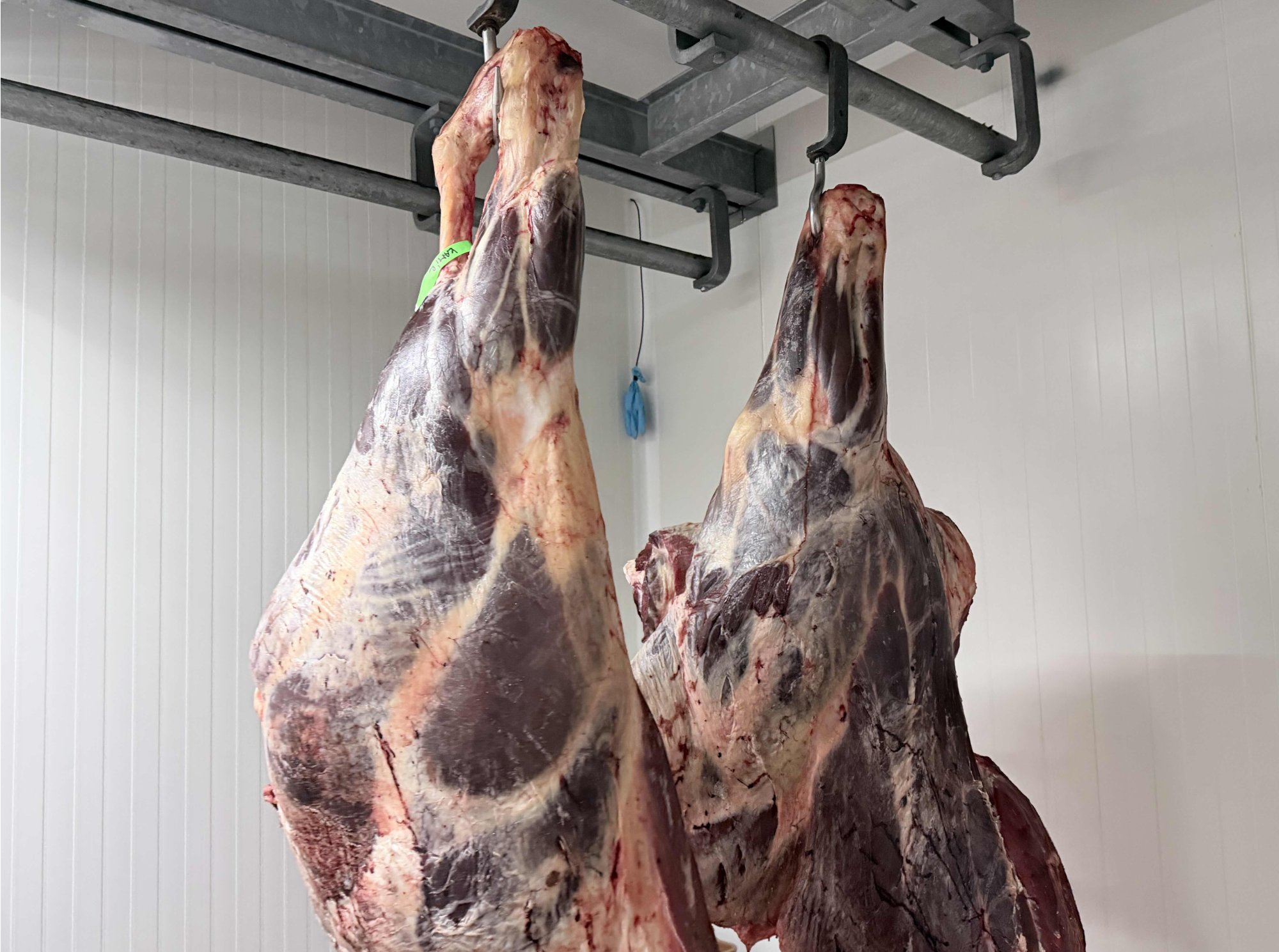 Jak zrání ovlivňuje kvalitu masa