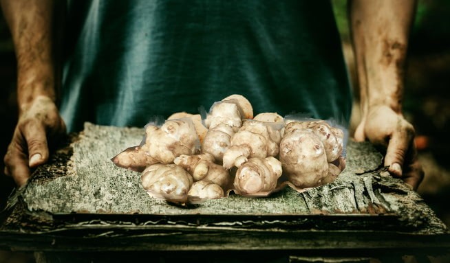 Topinambur: Zdraví prospěšná superpotravina, kterou byste měli znát