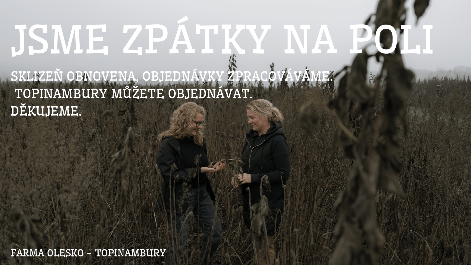 produkty z topinamburu