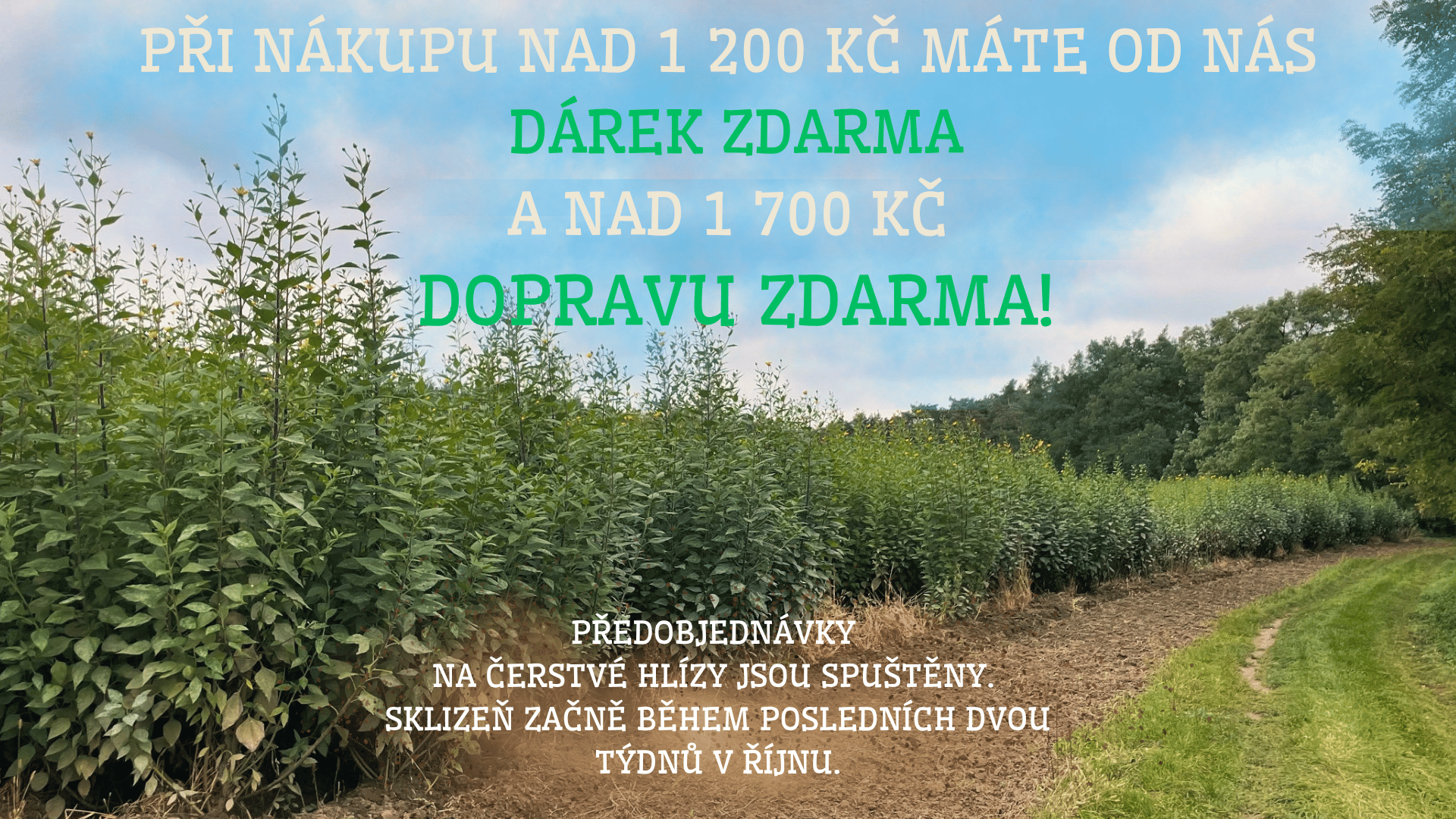 Do domácnosti