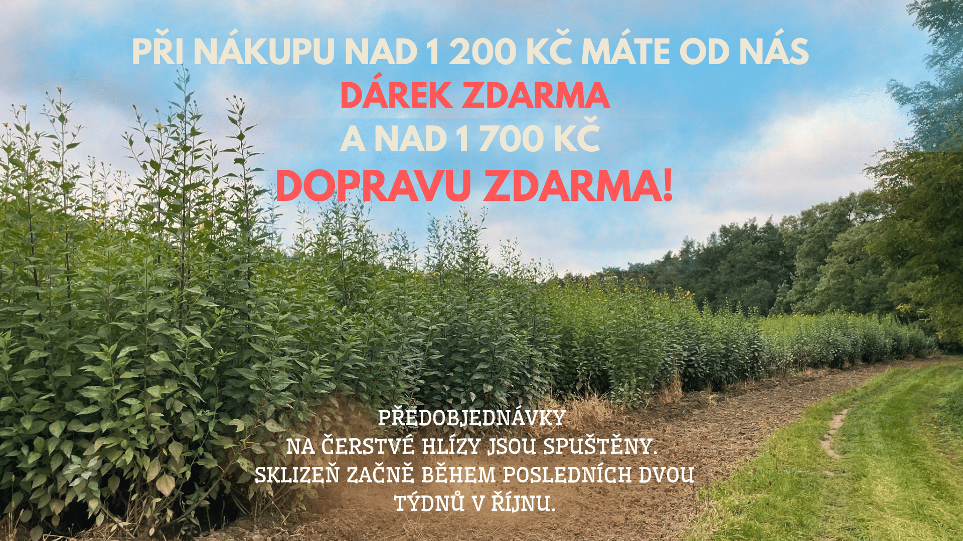 Do domácnosti
