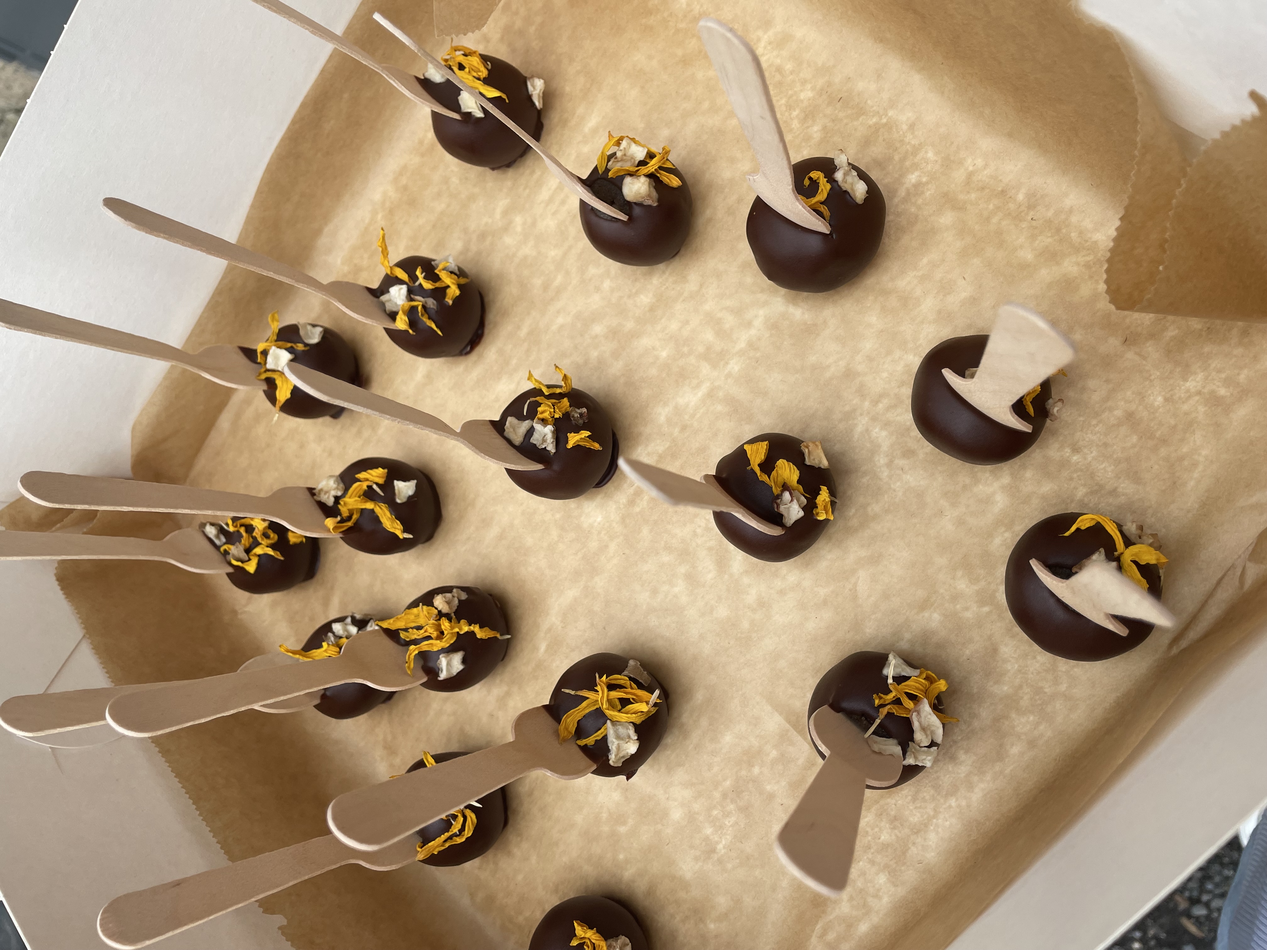 Dortová lízátka z topinambur, bio potravina