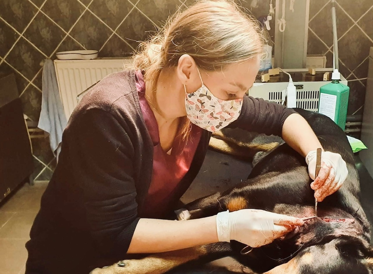Veterinárna služba