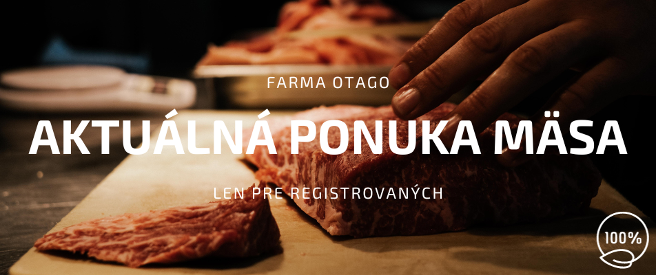 Nasledujúca porážka