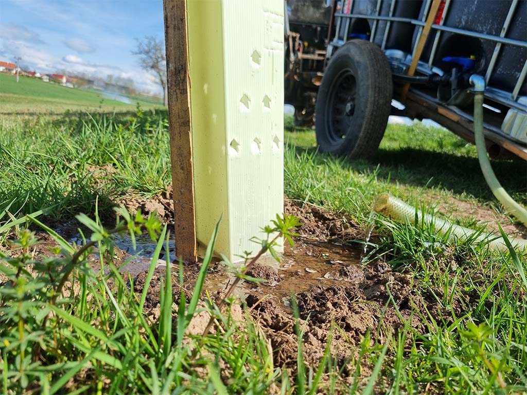 Odrůdy jablek | Nabella | Podnož A2