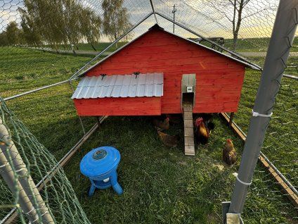 Oucmanická Vajíčka z pastvy | 10Ks