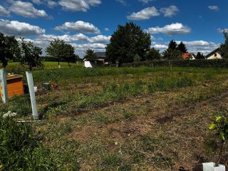 Páteční zpravodajství z naší farmy ❤️🤣 Na záhonech máme už většinu zeleniny. Je to hlavně zelenina co se popere se zimou....