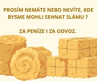 🌾 Začala jsem na pole dávat slámu, ale máme rozlohu polí už velikou a naše domácí zásoby na to nestačí. ❤️ Moc vás tedy...