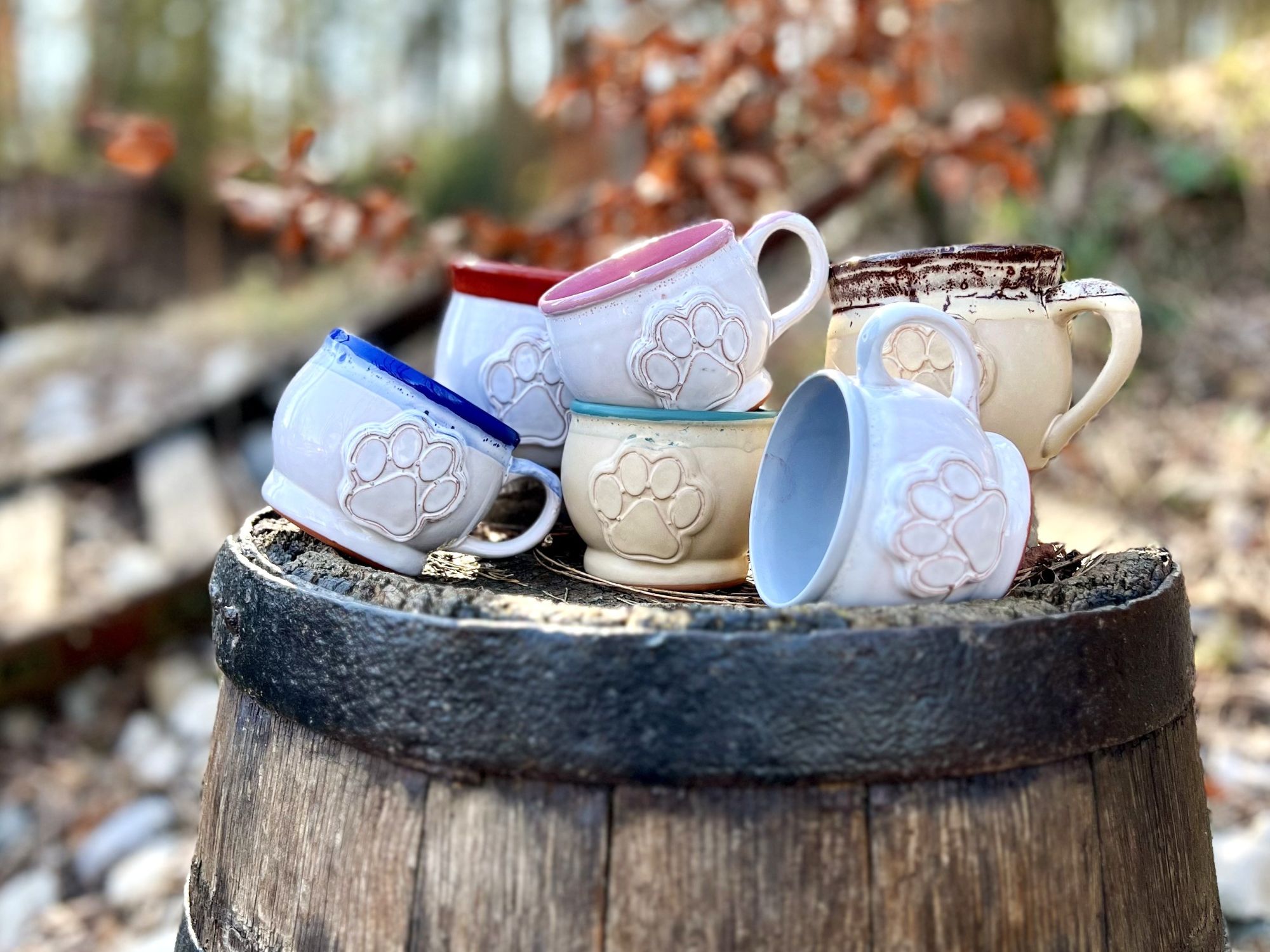 Podpora chráněné dílny Exodus