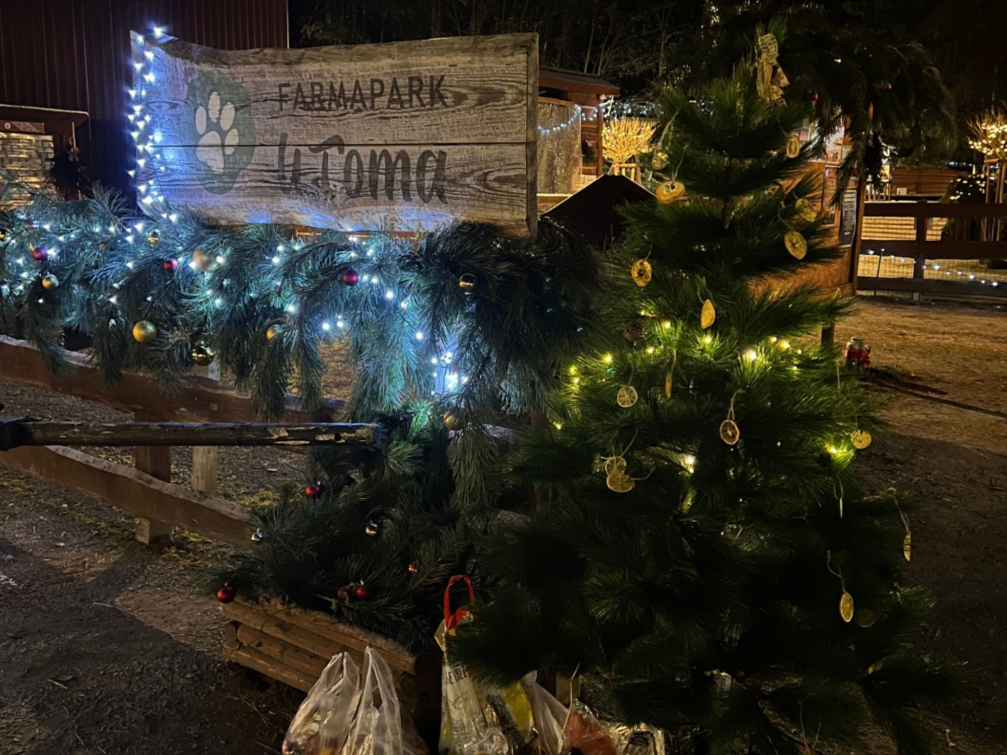 Rozsvícení vánoční stromečku