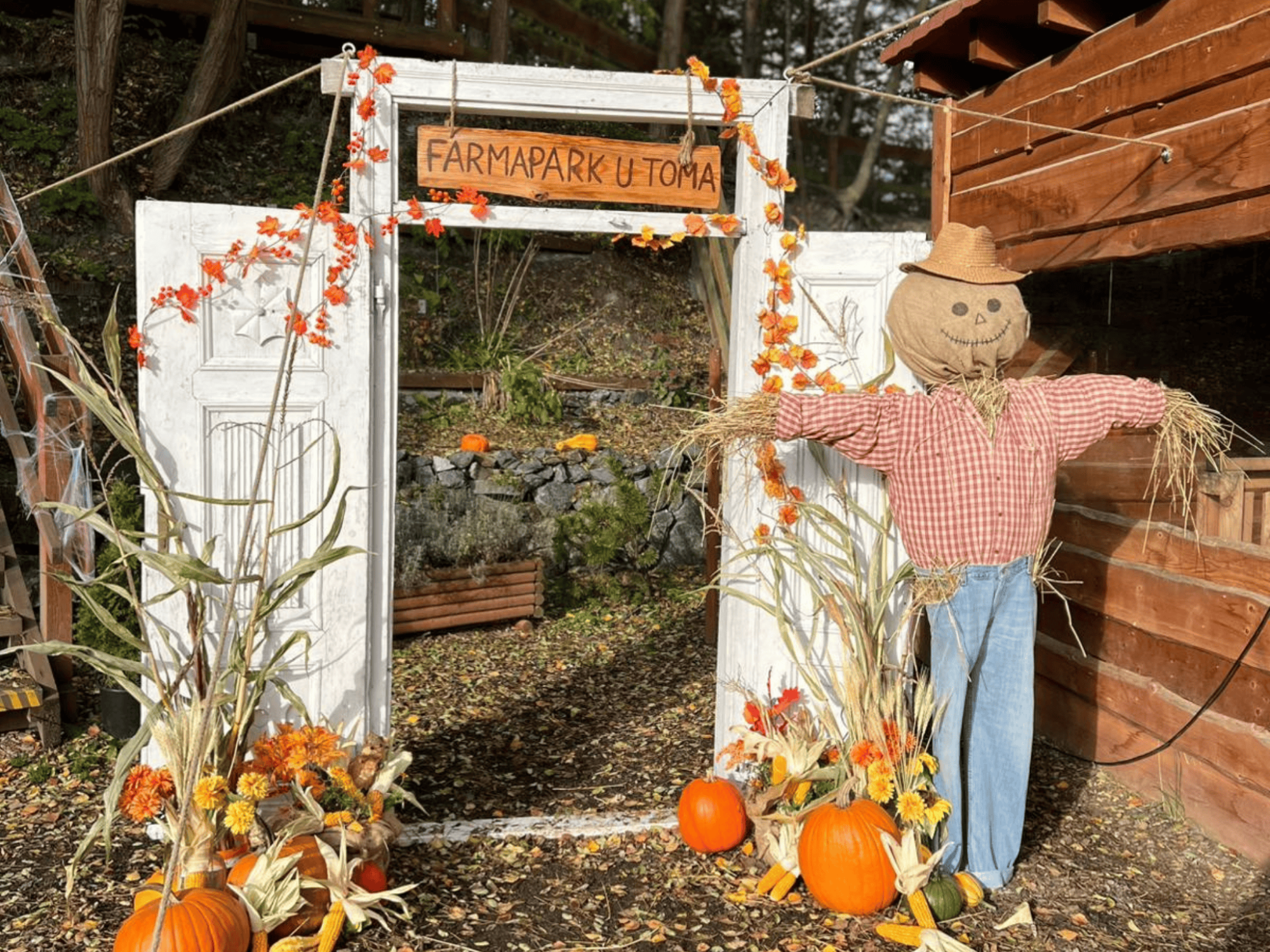 Halloween ve Farmaparku u Toma