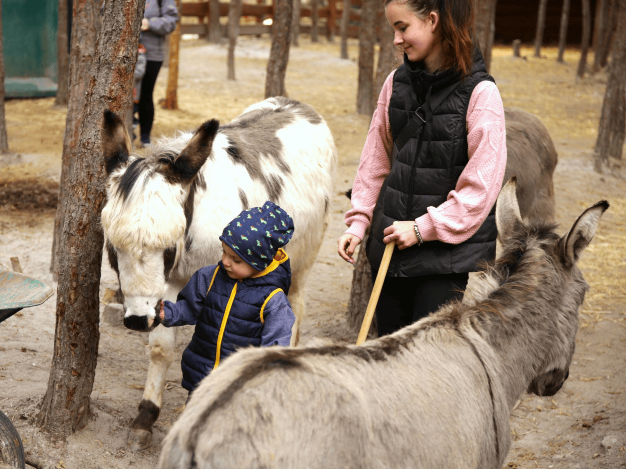 Nové zážitky se zvířátky