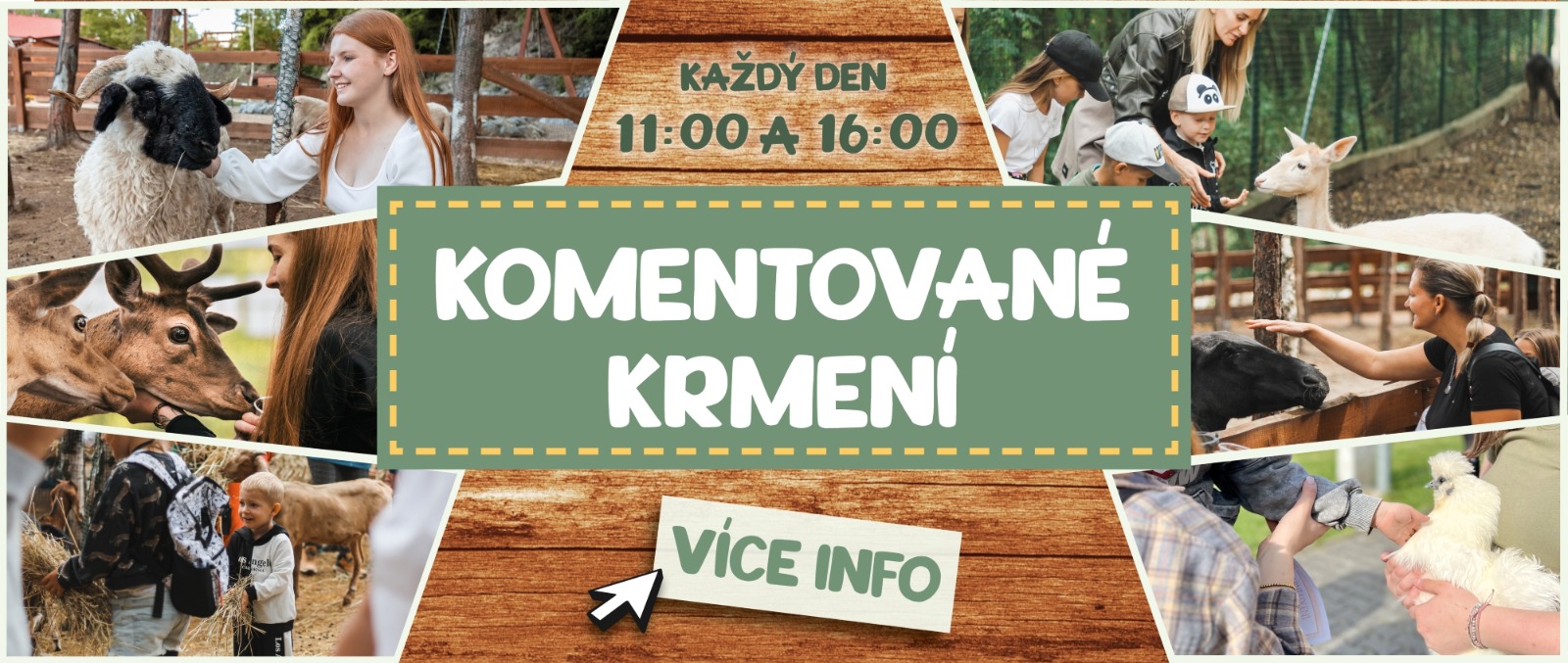 komentované krmení