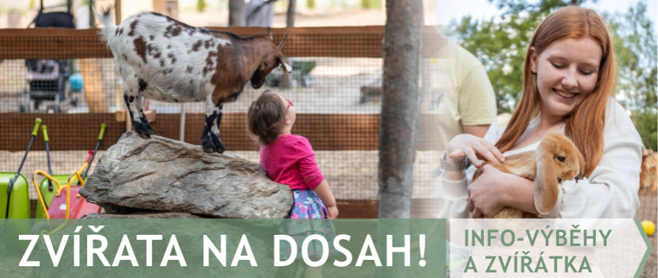 Výběhy a zvířata - Farmapark u Toma