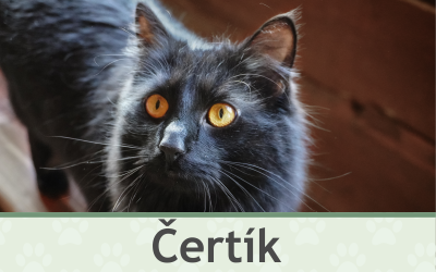Kocour Čertík – Farmapark u Toma