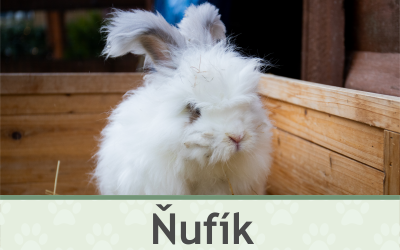 Králík Ňufík – Farmapark u Toma