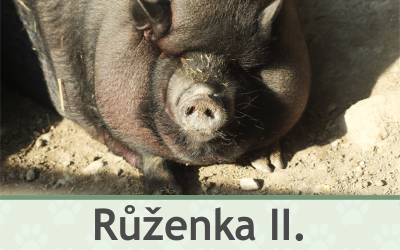 Miniprase – Farmapark u Toma