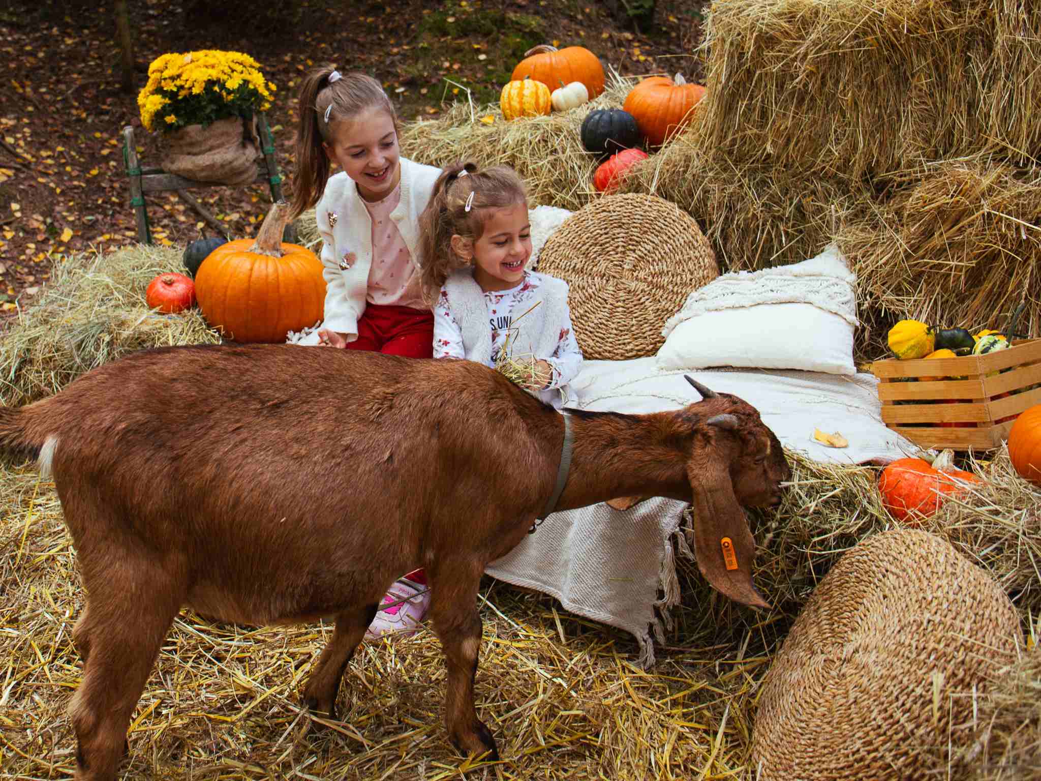 Fotografie – Halloweenské focení – Ploty Dobrý