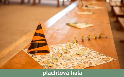 Dětské narozeninové oslavy Ledce u Plzně – Farmapark u Toma