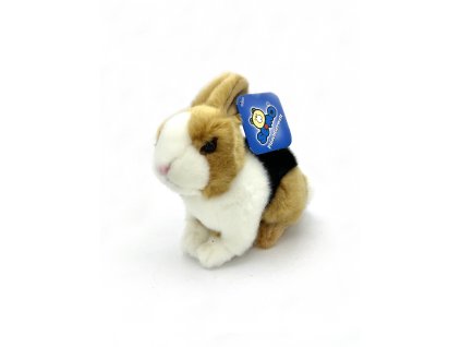 králík