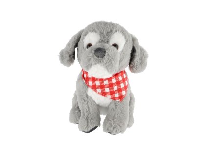 Pejsek sedící se šátkem