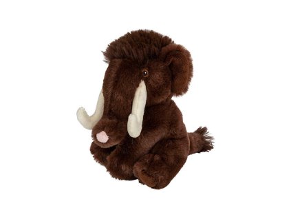 Re-PETs S Mamut