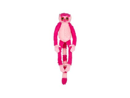 Lemur kata - Růžový