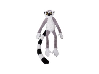 Lemur kata