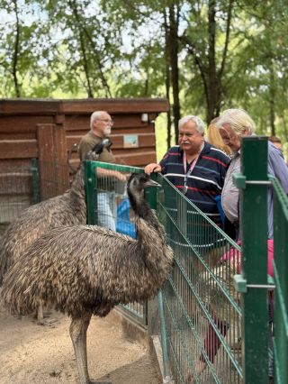 Včerejší odpoledne patřilo našim úžasným adoptivním rodičům. 🫶 Od 15 hodin na ně čekalo malé pohoštění a příjemné...