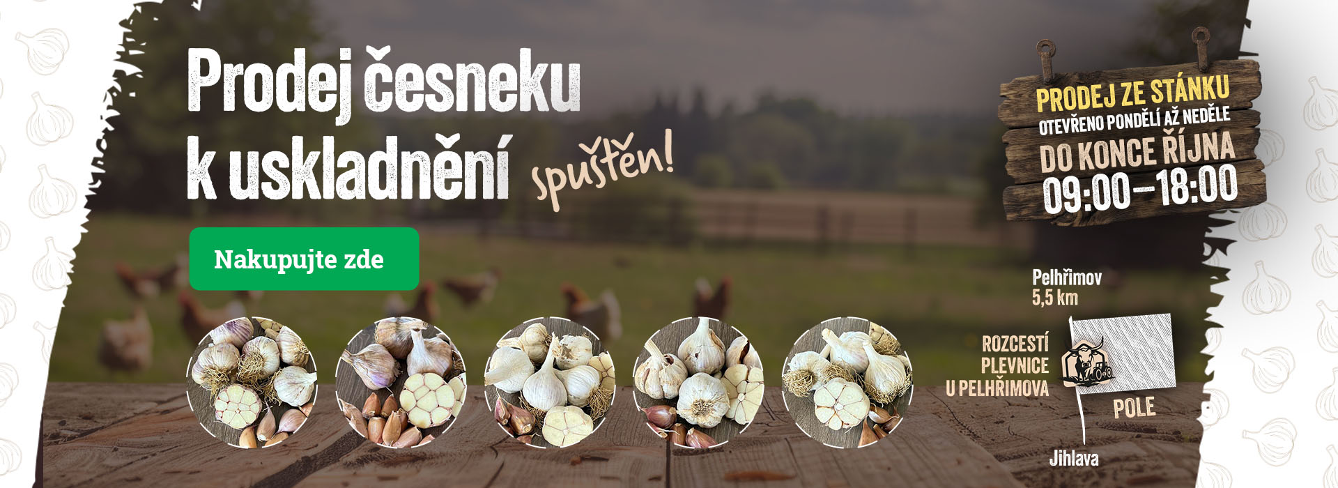 Prodej česneku k uskladnění spuštěn