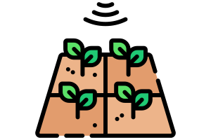 Od kořínku po regál