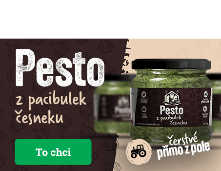 Pesto z pacibulek česneku