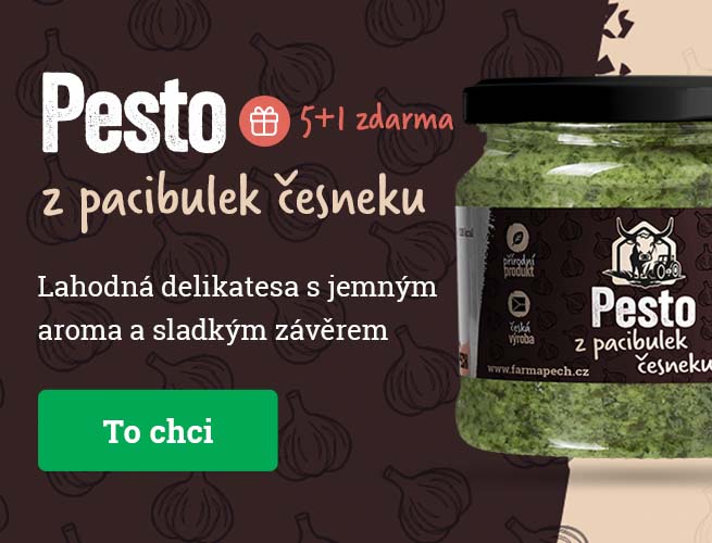 Prodej česneku k uskladnění spuštěn