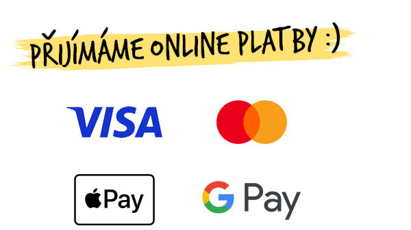 Přijímáme online platby