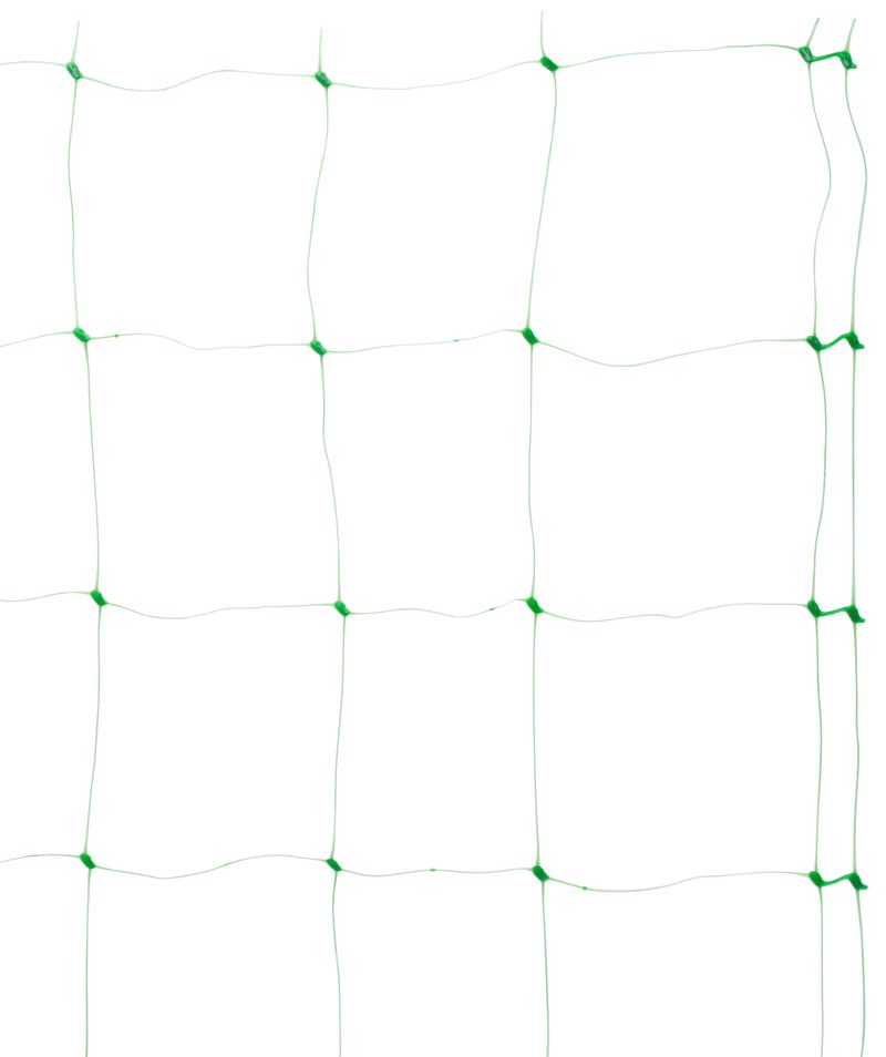 Ako pestovať uhorky: Komplexný sprievodca pre hobby aj profi pestovateľov 🥒