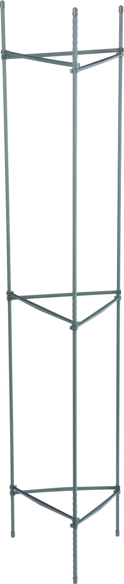 Kedy vsádzať paradajky: Kompletný sprievodca pre hobby aj profi pestovateľov 🍅