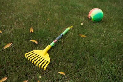 Kedy vápniť trávnik? Kompletný sprievodca pre zdravý a hustý trávnik