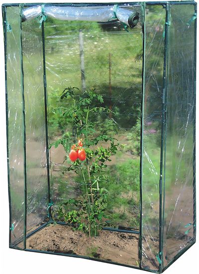 Ako pestovať paradajky: Sprievodca pre každého pestovateľa 🍅